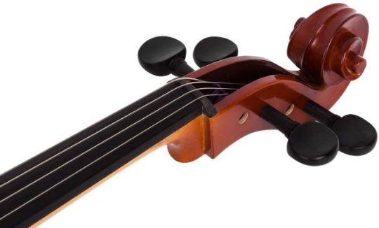 Close-up of a violin's fiddle with a white background