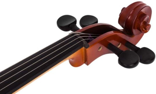 Close-up of a violin's fiddle with a white background