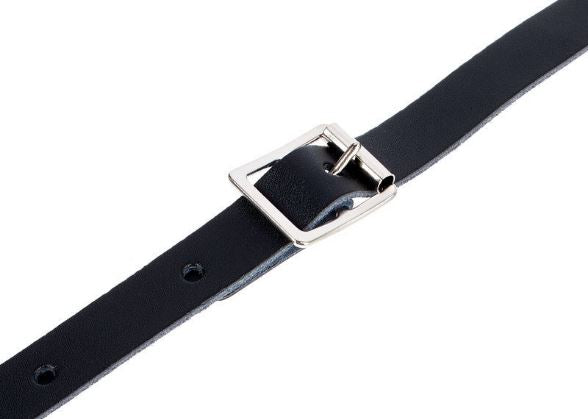 Black belt with a silver buckle on a white background