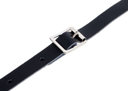 Black belt with a silver buckle on a white background