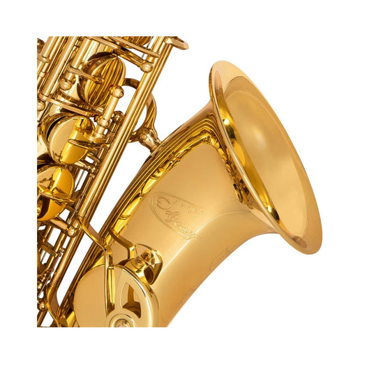 Close-up of a gold saxophone on a white background