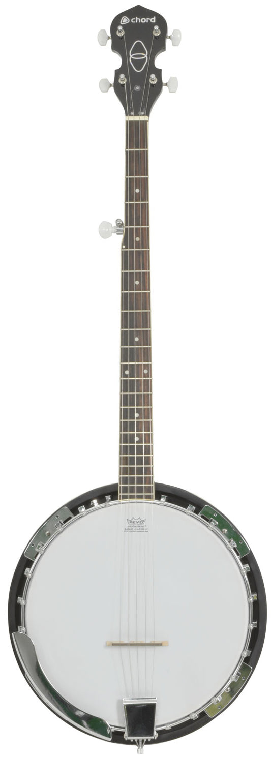 Banjo on a white background