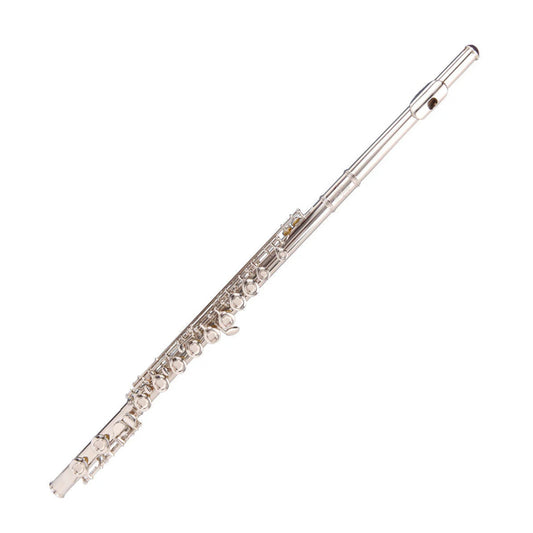 A silver flute on a white background