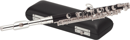 flute with a hard case