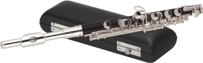 flute with a hard case