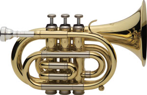 Gold and silver small trumpet on a white background