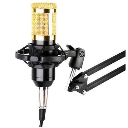 Studio microphone with gold mesh and black stand on a white background