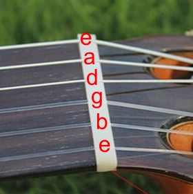 Close-up of a guitar neck with labeled strings against a blurred green background