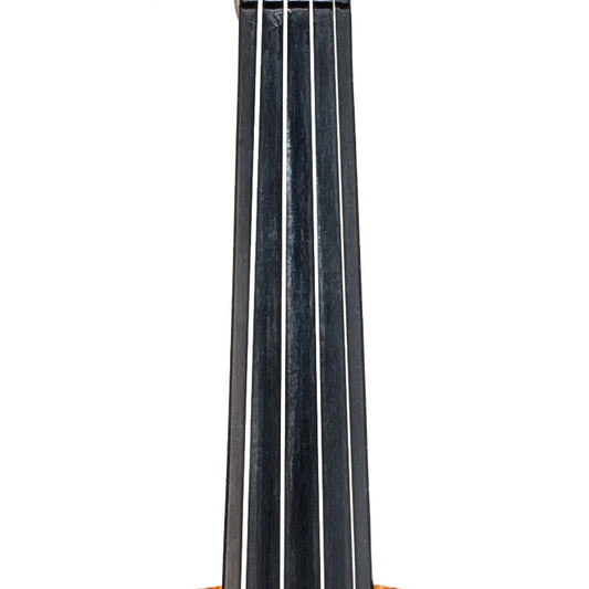 Violin neck with strings on a white background