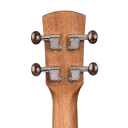 Close-up of a wooden ukulele headstock with tuning pegs on a white background