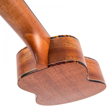 a photo detail of back of the body and neck. 