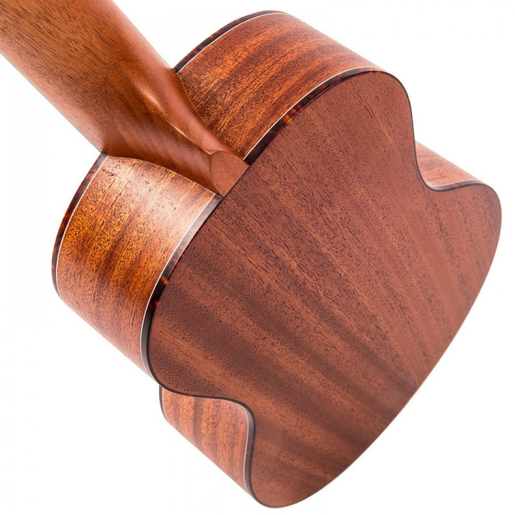 Close-up of a wooden ukulele on a white background