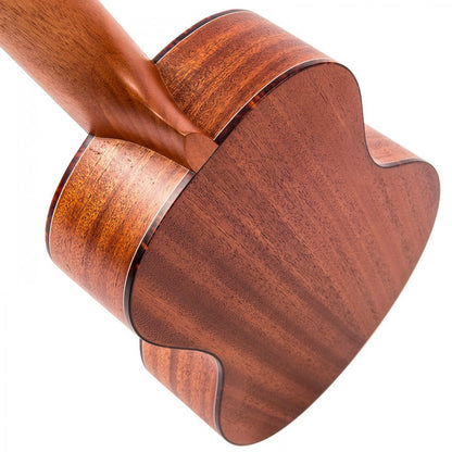 Close-up of a wooden ukulele on a white background
