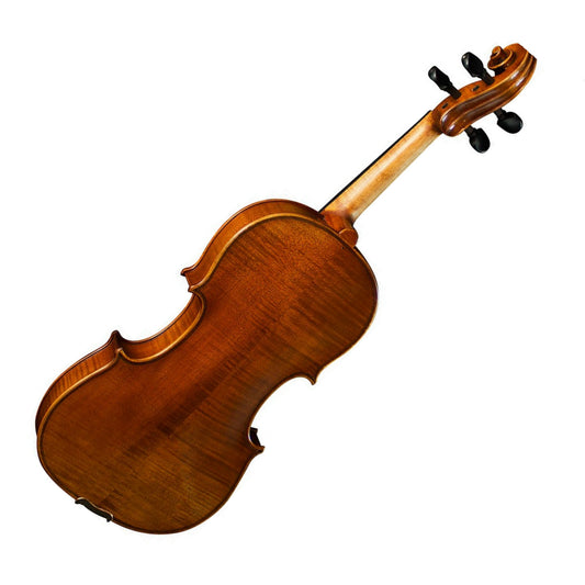 Violin back on a white background
